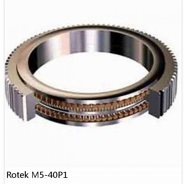 M5-40P1 Rotek Slewing Ring Bearings