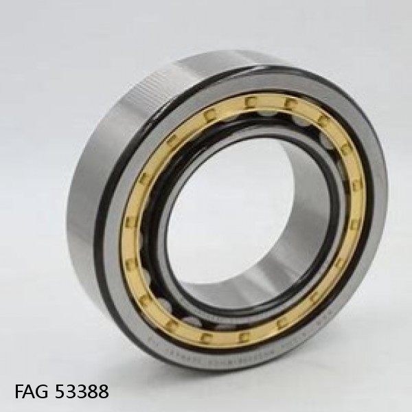53388 FAG Cylindrical Roller Bearings