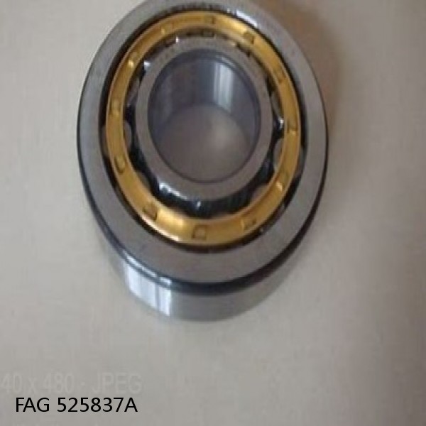 525837A FAG Cylindrical Roller Bearings