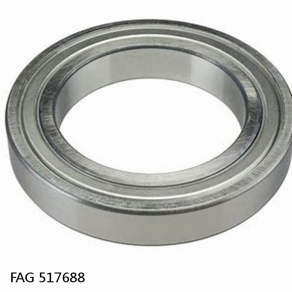 517688 FAG Cylindrical Roller Bearings