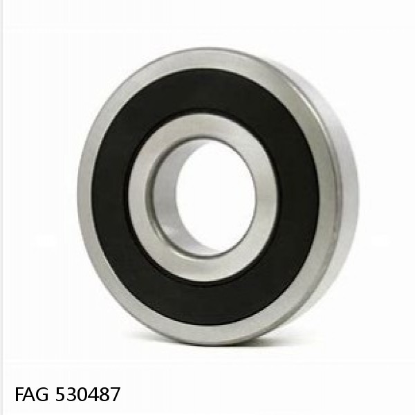 530487 FAG Cylindrical Roller Bearings