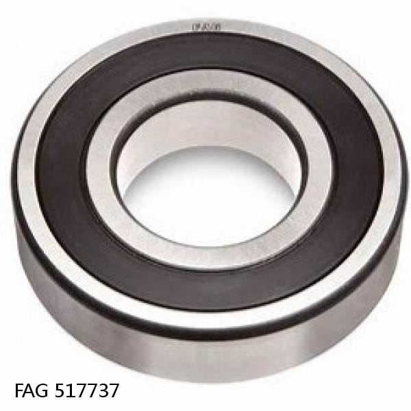 517737 FAG Cylindrical Roller Bearings