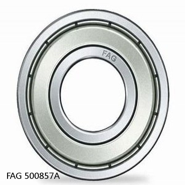 500857A FAG Cylindrical Roller Bearings
