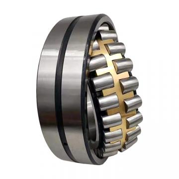 2.953 Inch | 75 Millimeter x 6.299 Inch | 160 Millimeter x 2.165 Inch | 55 Millimeter  INA SL192315-C3  Cylindrical Roller Bearings