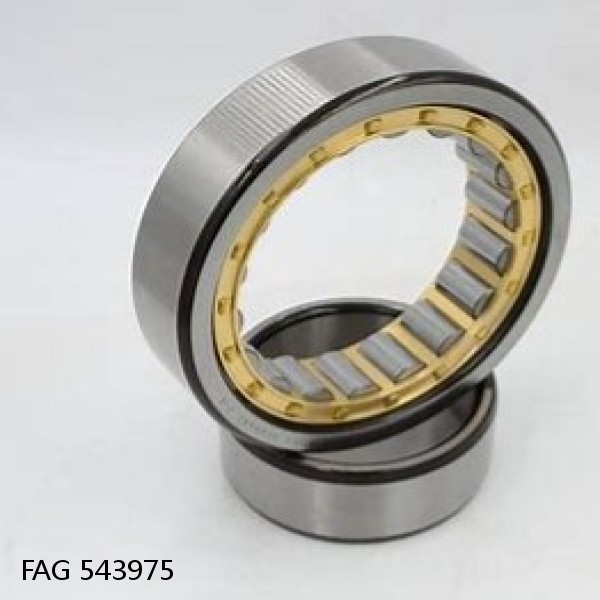 543975 FAG Cylindrical Roller Bearings