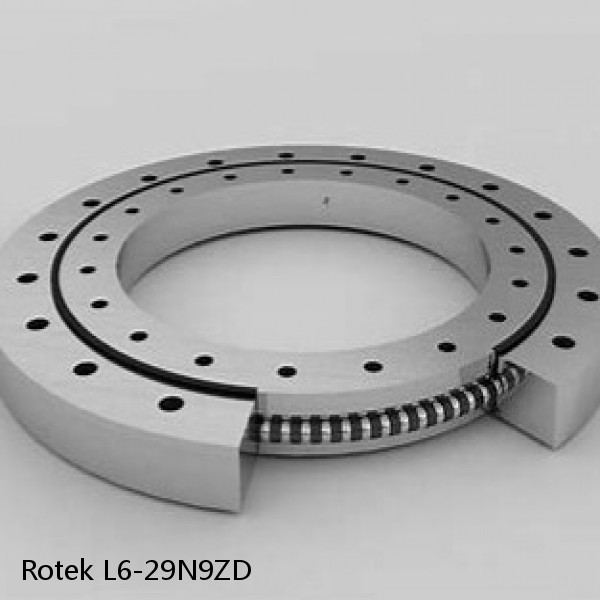 L6-29N9ZD Rotek Slewing Ring Bearings