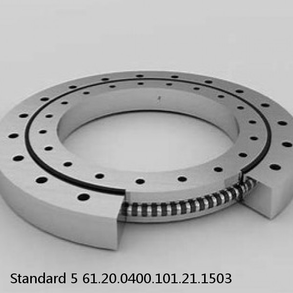 61.20.0400.101.21.1503 Standard 5 Slewing Ring Bearings