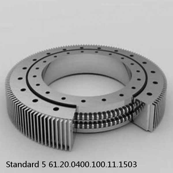 61.20.0400.100.11.1503 Standard 5 Slewing Ring Bearings