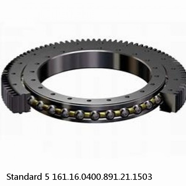 161.16.0400.891.21.1503 Standard 5 Slewing Ring Bearings