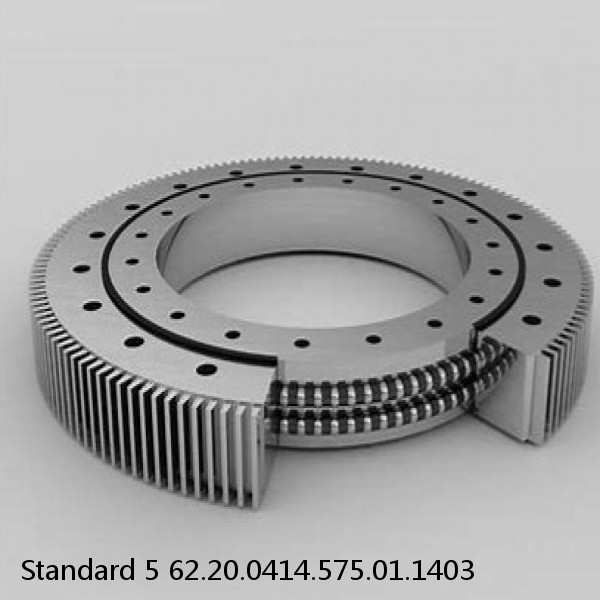 62.20.0414.575.01.1403 Standard 5 Slewing Ring Bearings