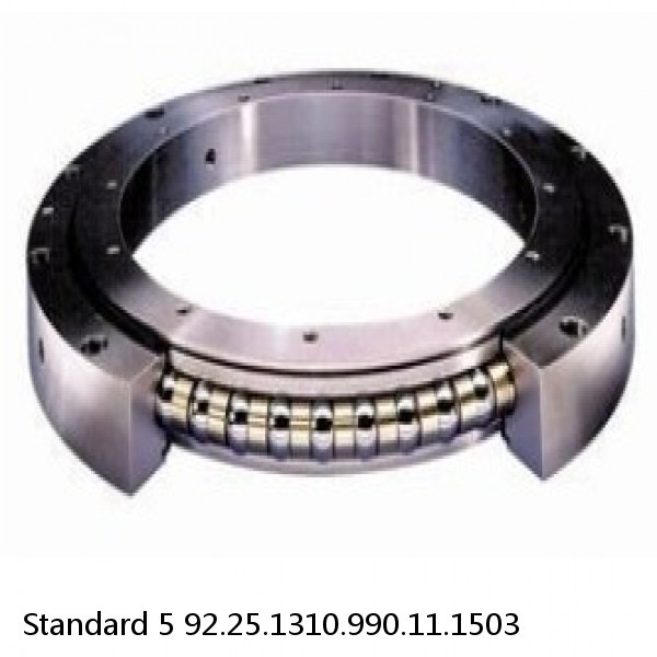 92.25.1310.990.11.1503 Standard 5 Slewing Ring Bearings