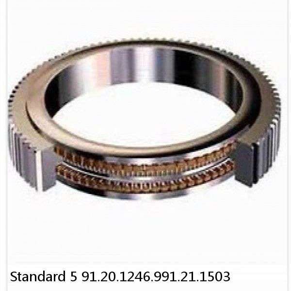 91.20.1246.991.21.1503 Standard 5 Slewing Ring Bearings