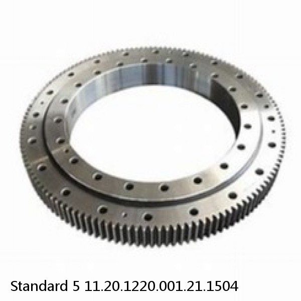 11.20.1220.001.21.1504 Standard 5 Slewing Ring Bearings