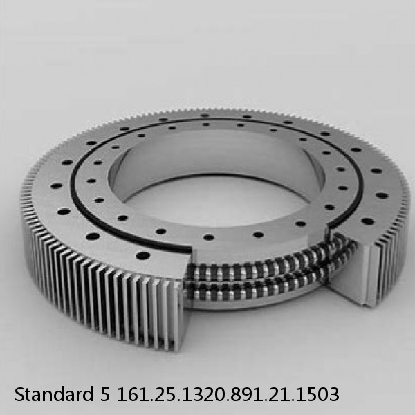 161.25.1320.891.21.1503 Standard 5 Slewing Ring Bearings