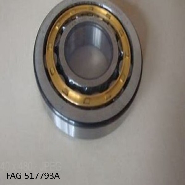 517793A FAG Cylindrical Roller Bearings